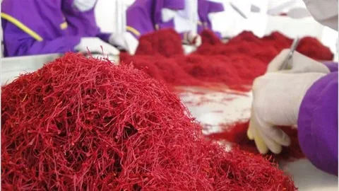 زعفران طبیعی ویژه رستوران‌ ها و قنادی‌ ها